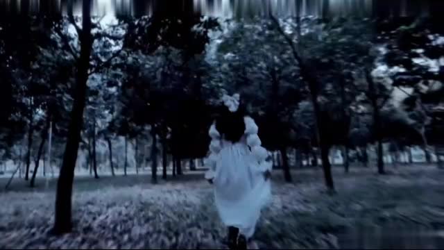 视频1